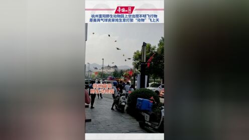 杭州富阳野生动物园上空出现大量不明飞行物，原是两气球卖家抢生意打架导致“动物”飞上天！网友：同行是冤家！你怎么看？