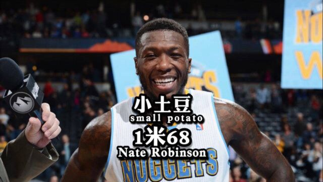 内特ⷧ𝗥€Š,一位身高只有1米68的NBA扣篮王,书写矮个子的传奇人生