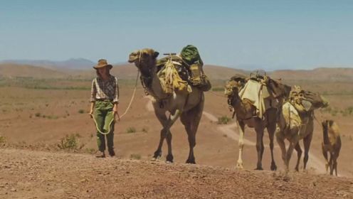 冒险片：女子用195天，带着四头骆驼和一条狗，穿越生命的禁区