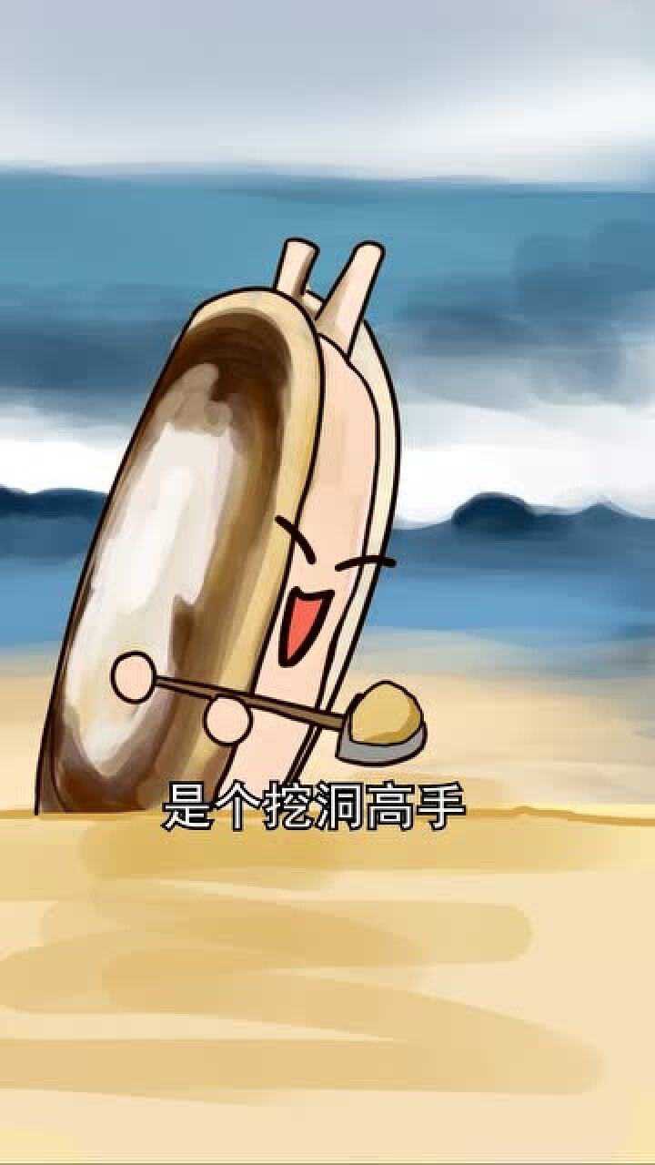 赶海捉蛏子,一定要带一包盐,保准你吃个够!