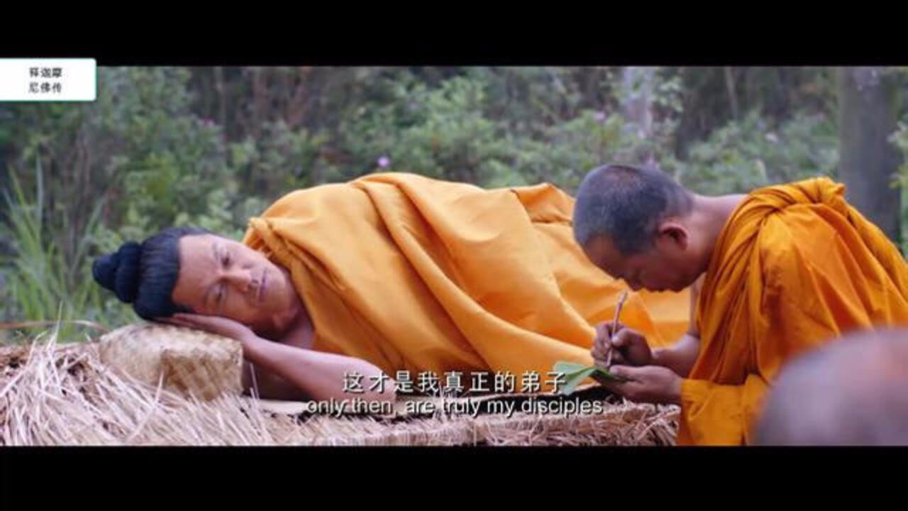 有生必有死,了脱生死,依教奉行,才是真佛弟子!