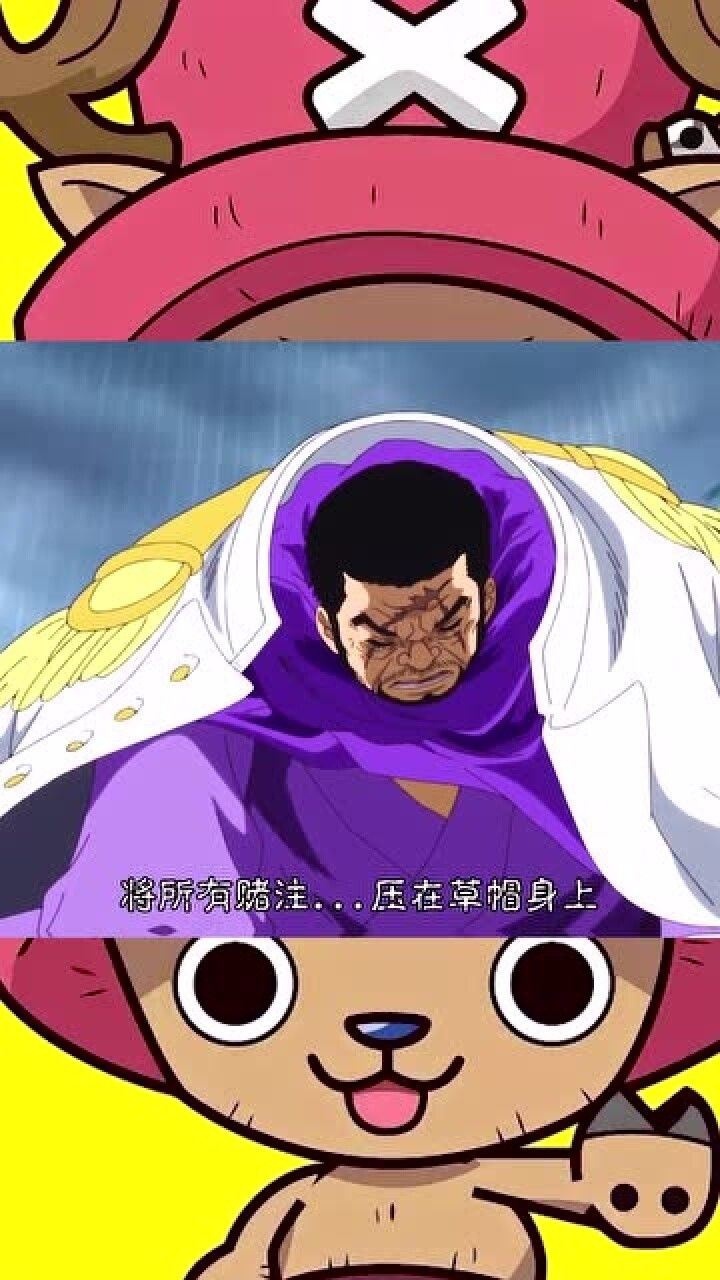 路飞vs多弗朗明哥藤虎这一把我将所有的赌注全压在草帽一伙的身上