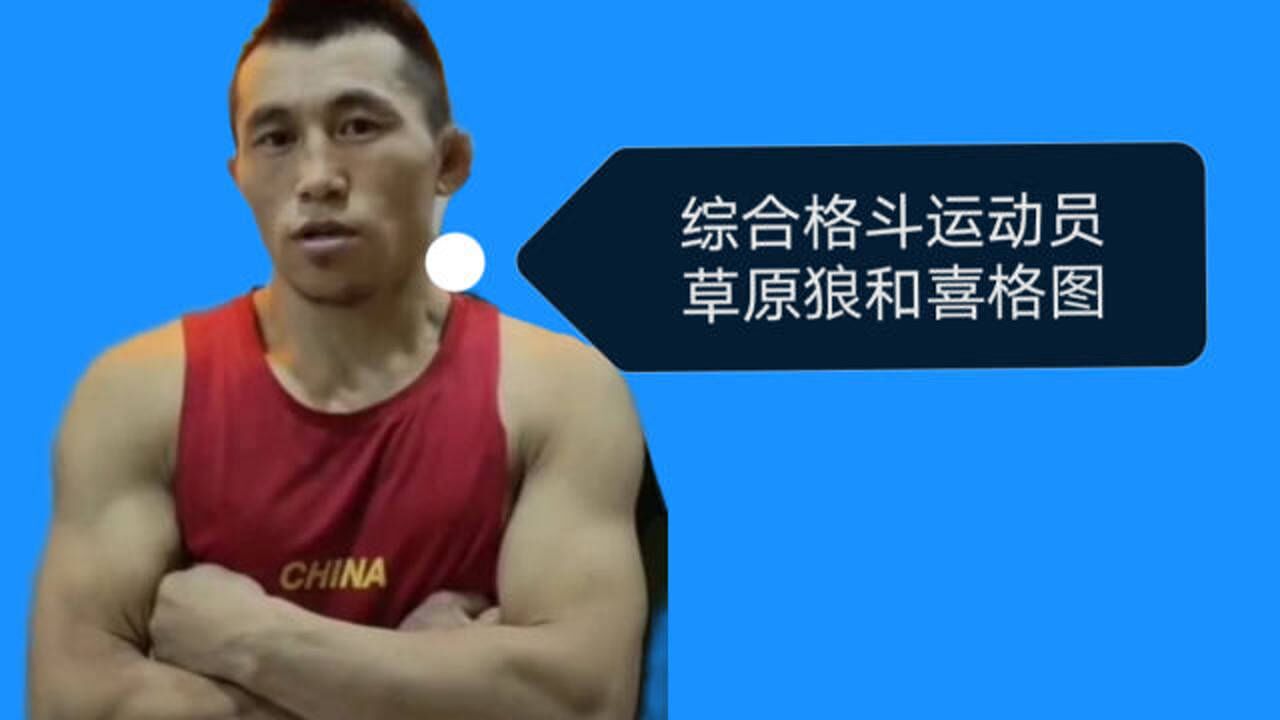 草原狼和喜格图,模仿ufc第一人张铁泉,一个人征战八角笼