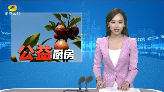 (公益厨房)岳阳平江:可以喝的山茶油 品美味助农户