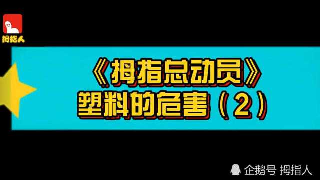 塑料的危害(2)