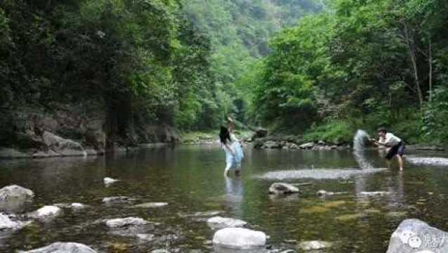 两岩峭崖壁立,怪石嶙峋,红藤翠蔓,野树豫章,苍苍茫茫.