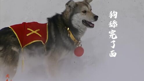 要等鸡吃完了米,狗舔完了面,我才能消气_高清1080P在线观看平台_腾讯视频