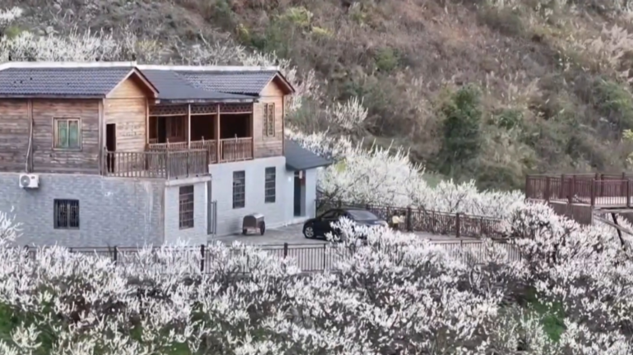 贵州蜂糖李种植条件