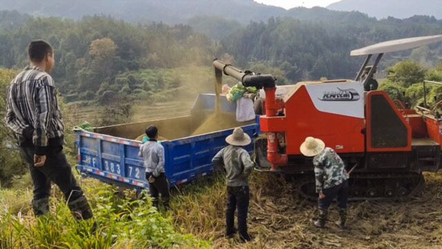 年租金1000块15亩田地,种水稻一年能赚多少钱,最后算账才知道