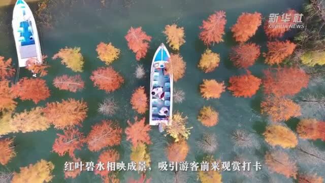 漳河秋色:红叶碧水相映成画