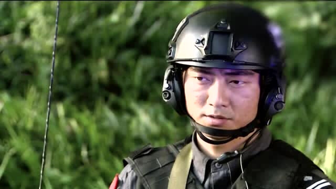 我是特种兵之火凤凰:在雷战的担保下,叶寸心重新获得信任.