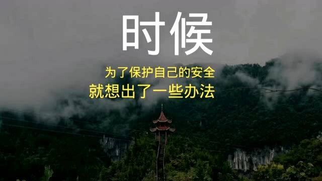 民间故事:挑西瓜