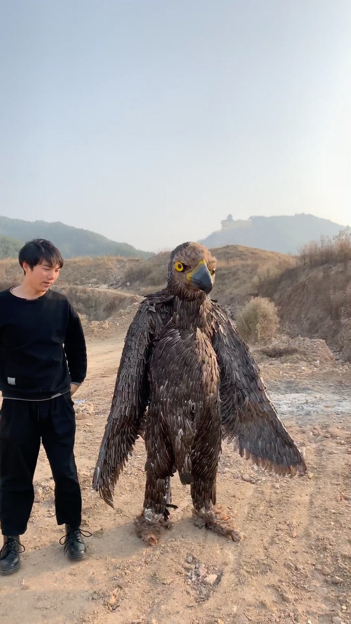 影视里的大雕都是人扮演的