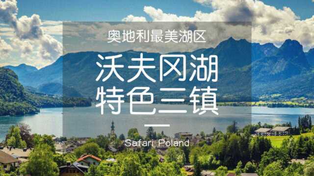 【视频】旖旎风光 | 尽在奥地利圣沃夫冈湖区绝美三镇