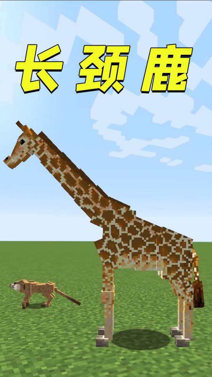 我的世界:身高3米的长颈鹿你见过吗?