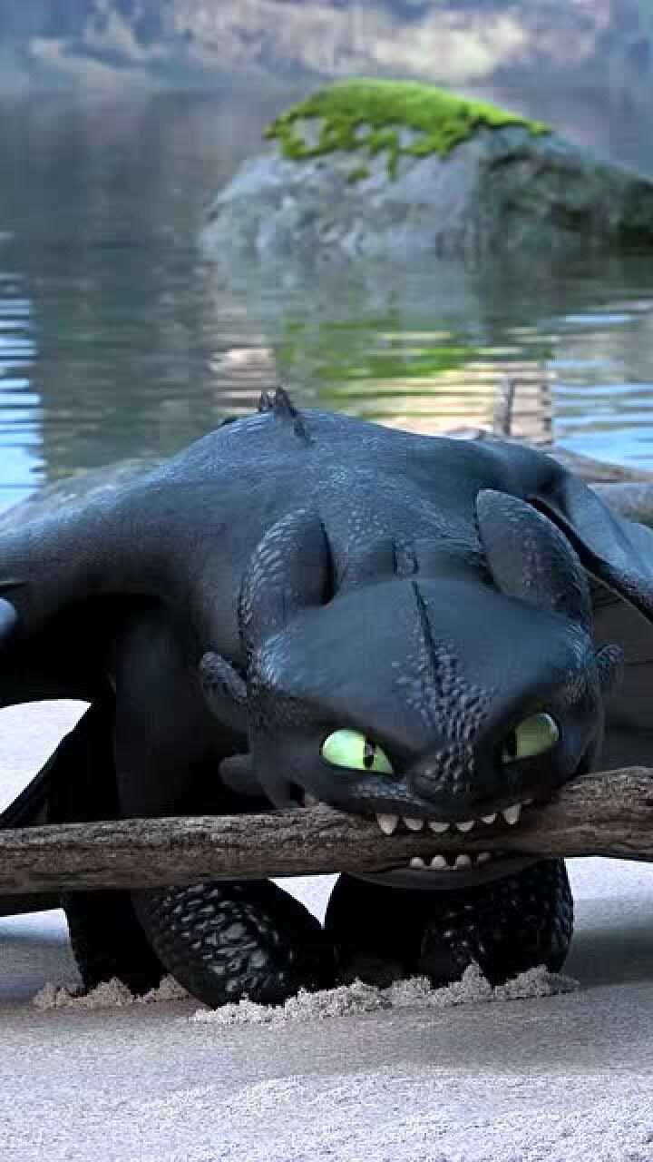 驯龙高手无牙仔追女朋友真是太逗了