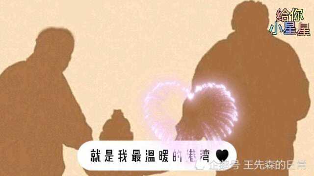 写给父母的一封情书