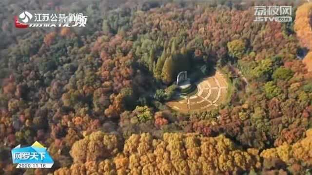 南京钟山风景区迎来赏秋黄金季 层林尽染美不胜收!