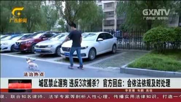 大快人心,城区禁止养狗,违反3次捕杀