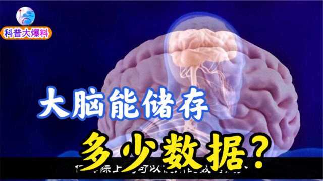 如果把人的大脑,换算成电脑内存,它可以储存多少数据?