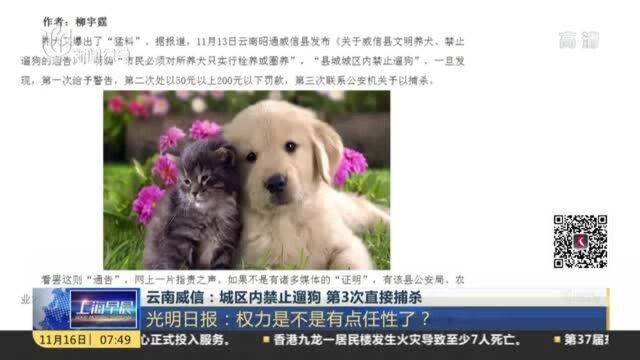 云南威信:城区内禁止遛狗,第3次直接捕杀