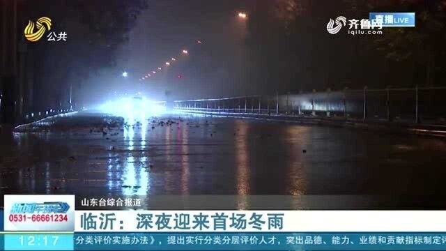 山东多地迎来降雨 气温下降 潍坊安丘迎来冬雨 保障小麦安全越冬