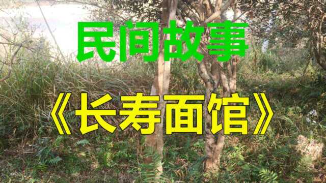 民间故事《长寿面馆》老冀以很低的价格盘下了一个门面