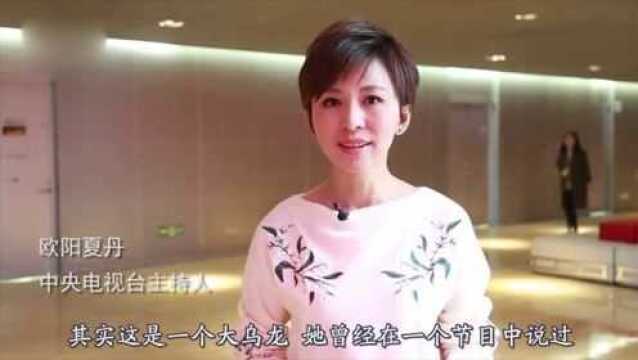 高考状元欧阳夏丹:43岁至今未婚,父亲的遗愿成就了现在的她!