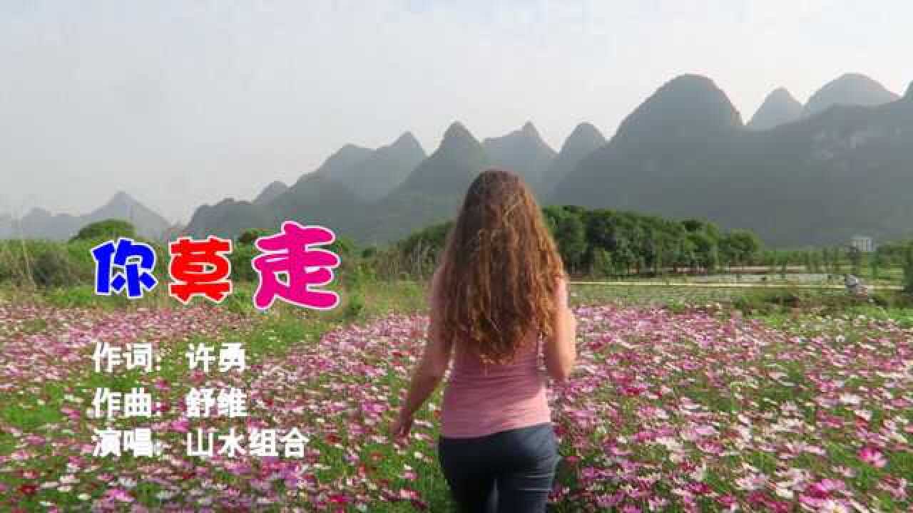 《你莫走》,山水组合(许勇 舒维)演唱