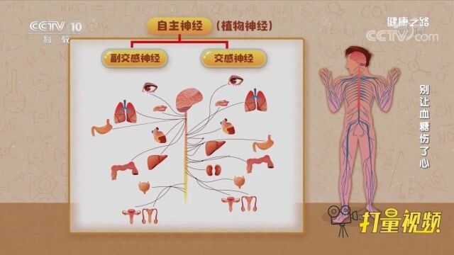 糖尿病患者注意!1分钟脉搏超90次,或有引发冠心病风险