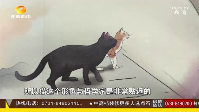 《哲猫志》——撸一只哲学猫“看透人生” 汪涵手写推荐语!