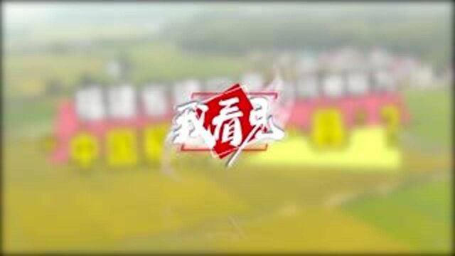 福建省建宁县为何被称为“中国稻种第一县”?