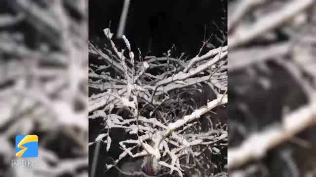 43秒丨下雪了!临沂沂水、蒙阴、平邑等地已经降雪