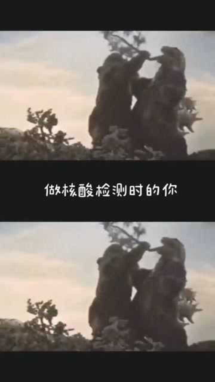 奥特曼我给你做一个核酸检测吧