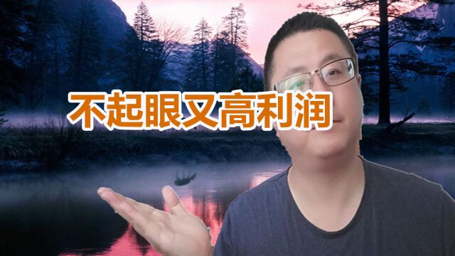 想创业,但是不会选项目,有没有不起眼又高利润的项目?