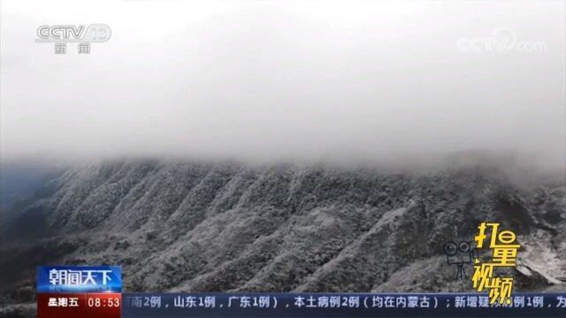 重庆万盛迎今冬首场降雪,银装素裹,尽显雪国风光