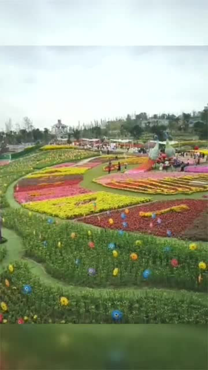 成都五龙山百花谷图片