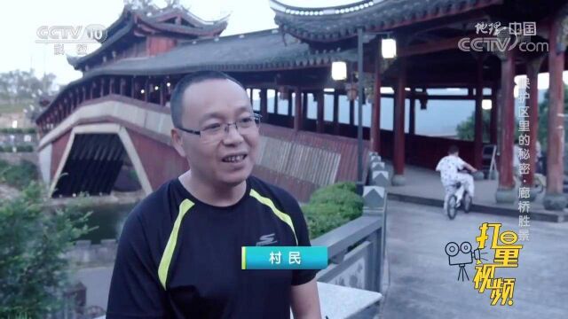 泰顺人为何会热衷于修建廊桥?一句民谣透露出答案