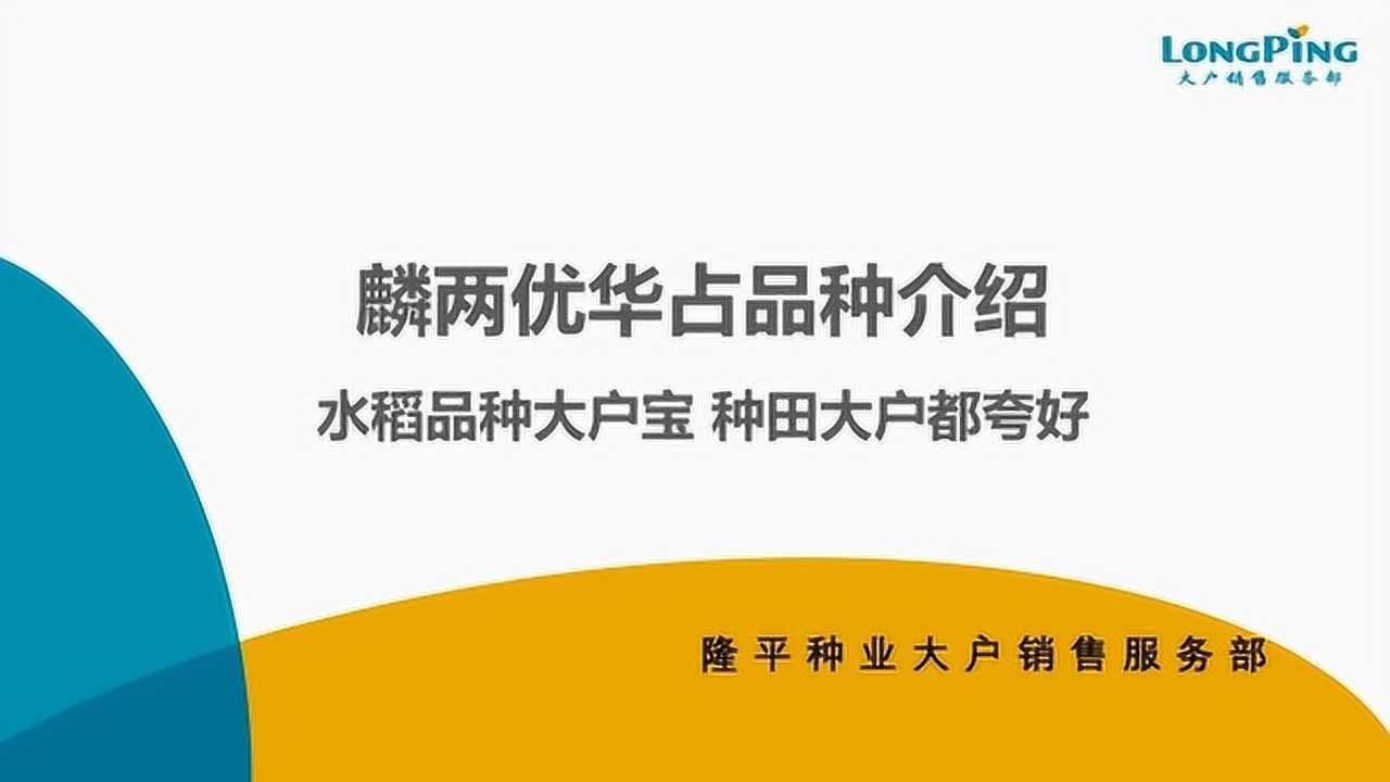 大户宝麟两优华占视频