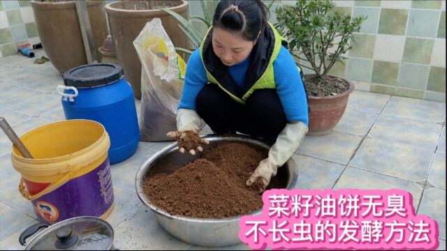 菜籽饼做肥料 可改善土壤 提升口感和产量 无臭不长虫的发酵方法