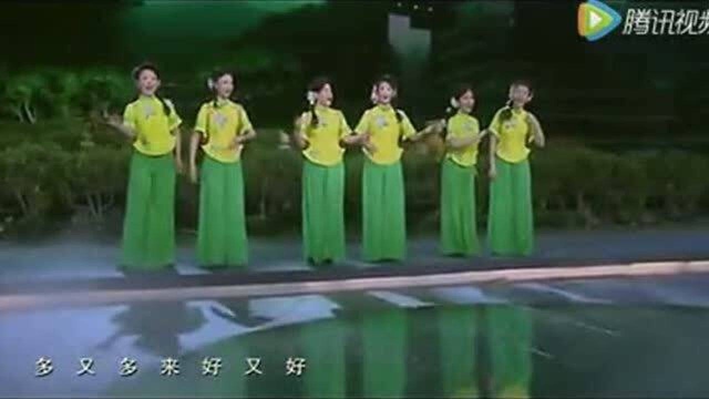 浙江民歌《采茶舞曲》现场版