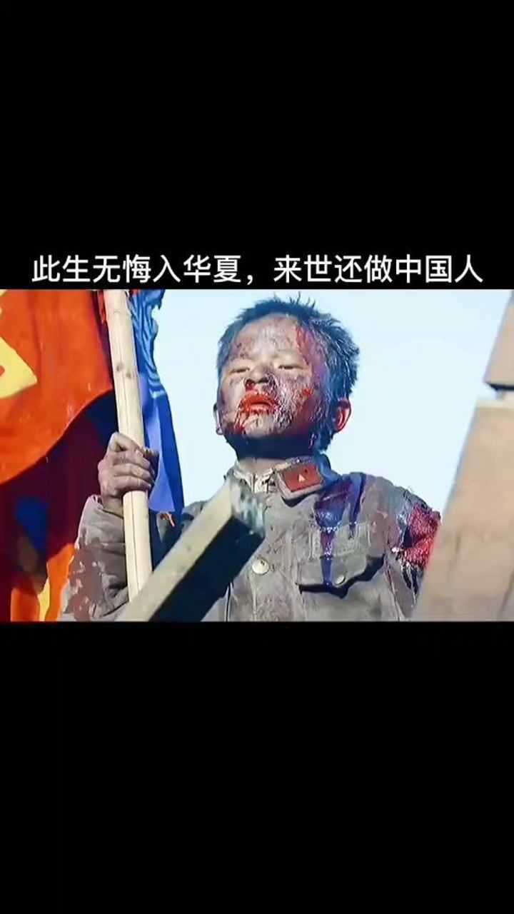 青山处处埋忠骨何须马革裹尸还