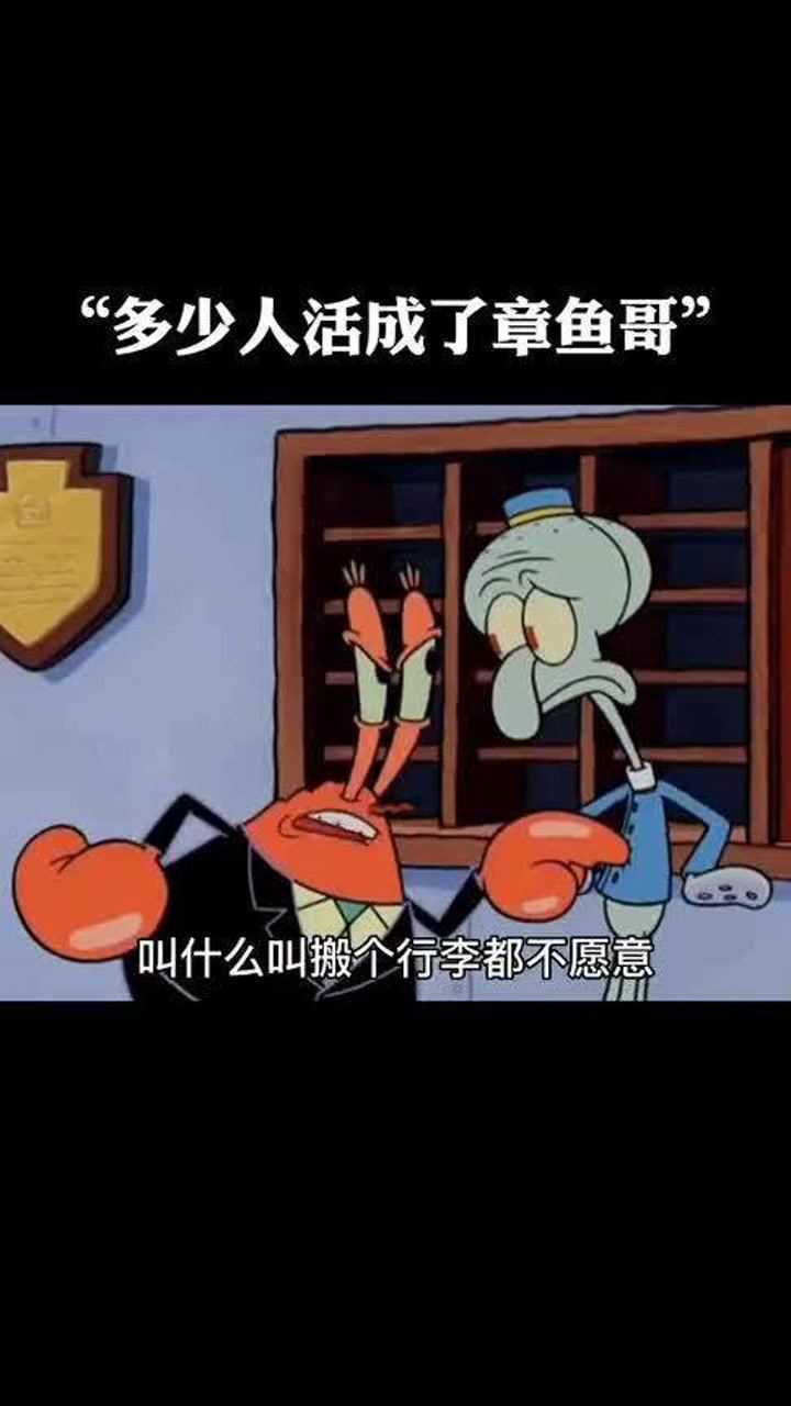 海绵宝宝章鱼哥洗碗文图片