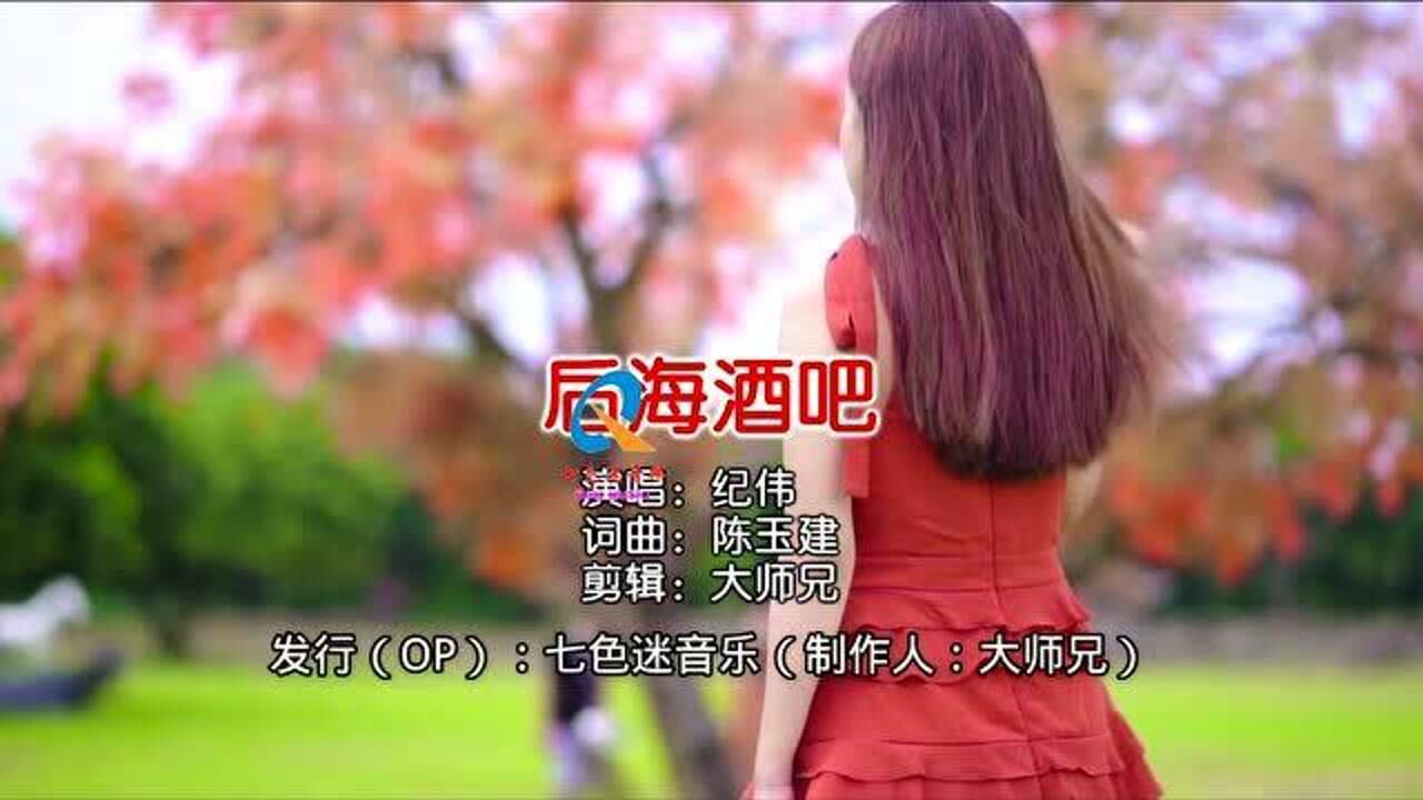 后海酒吧演唱纪伟慢摇dj版
