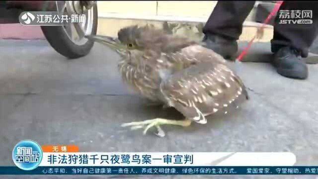 非法狩猎千只夜鹭鸟案一审宣判 判有期徒刑并赔偿53万多元