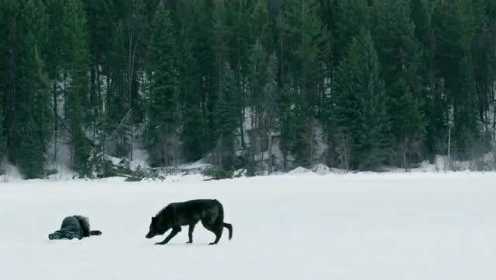 加拿大动作冒险片《狼之女》，正气豪迈，值得一看!