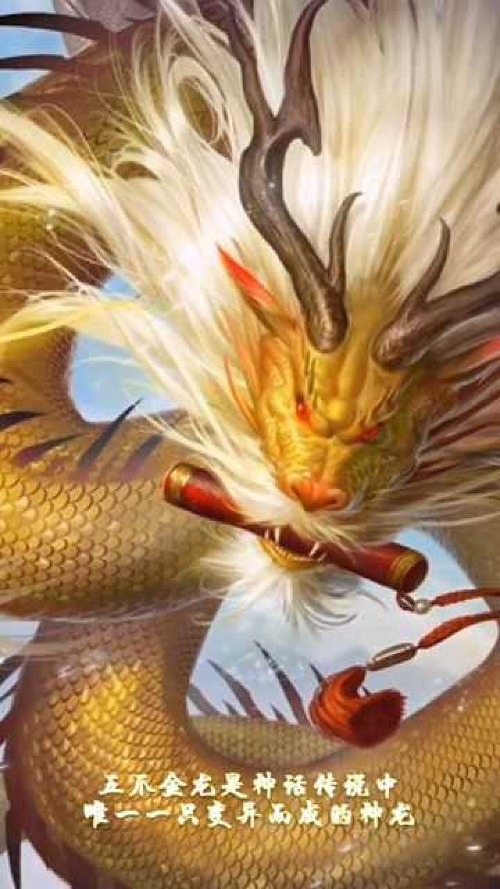 神话故事十大神龙之五爪金龙