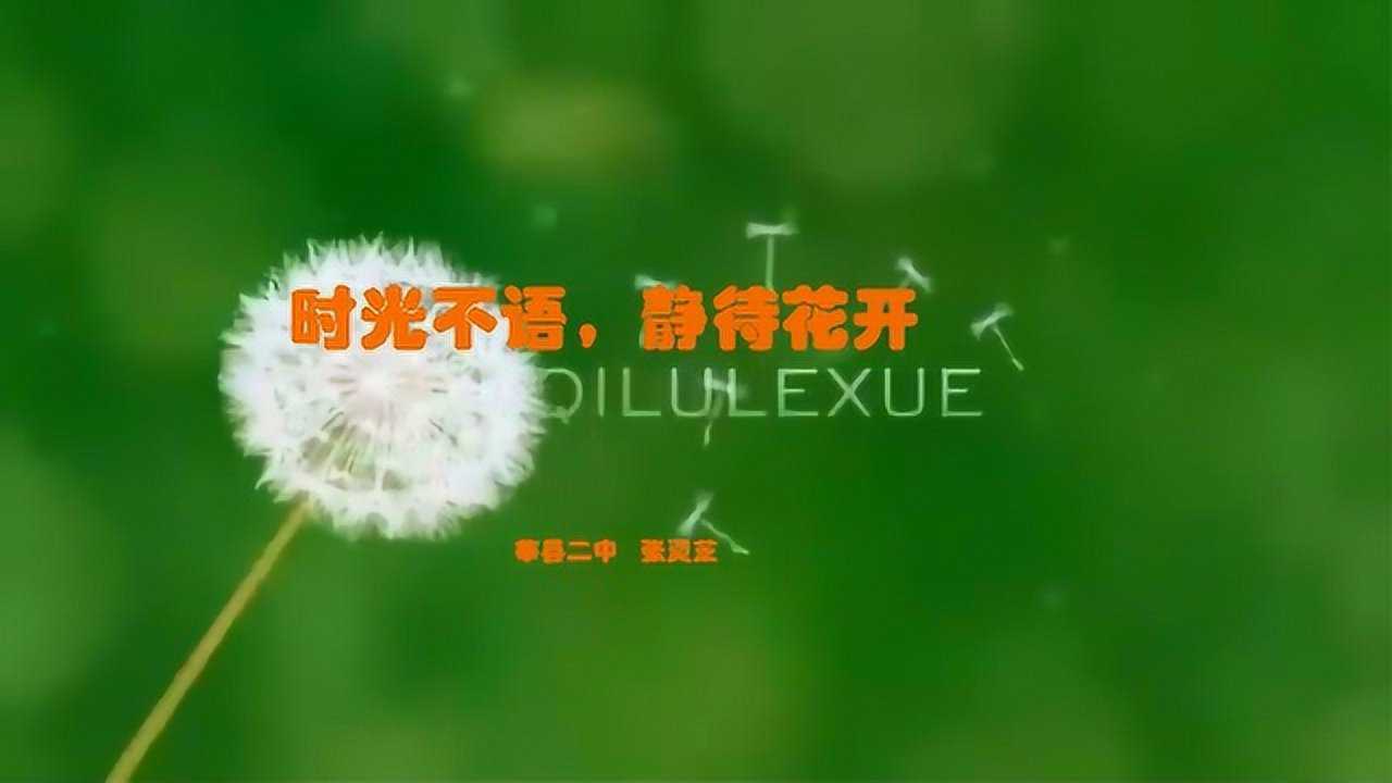 時光不語,靜待花開——記莘縣二中最美教師張靈芝