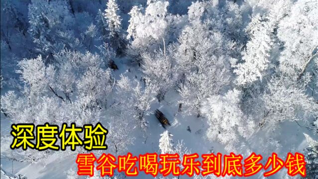 北哥带你深度体验,在中国雪谷吃住行,到底需要多少钱