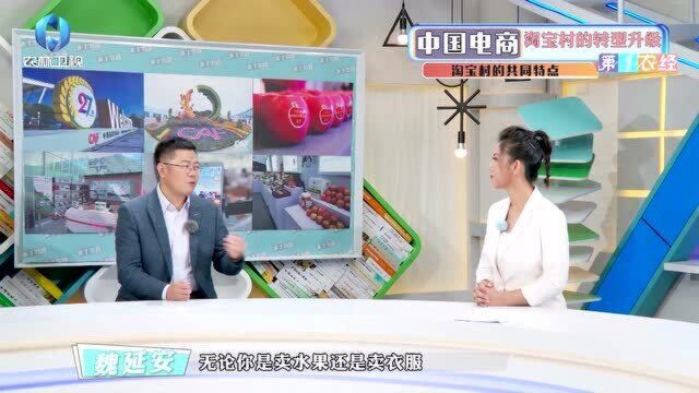 【农经公开课】中国电商淘宝村的转型升级(下)